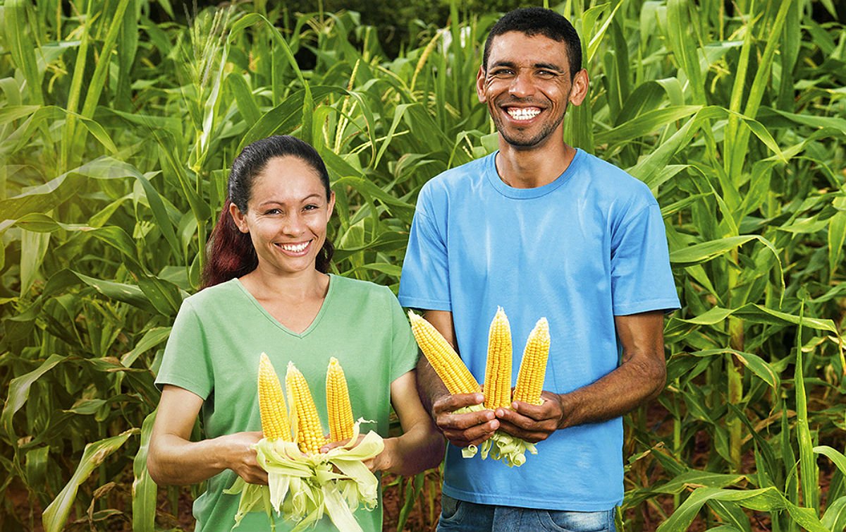 Sem veneno, produtos agroecológicos fortalecem o corpo para enfrentar doenças