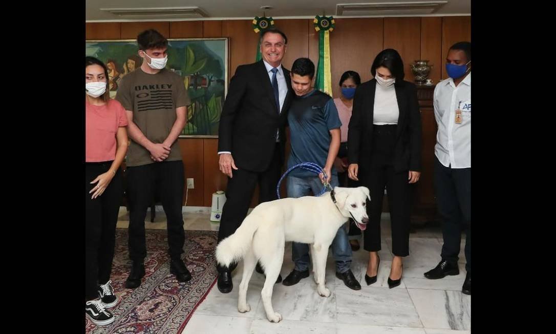 A primeira-dama Michele Bolsonaro adotou um simpático cachorrinho e o batizou de Augusto Bolsonaro. Acontece que o animal já tinha dono e acabou sendo devolvido.