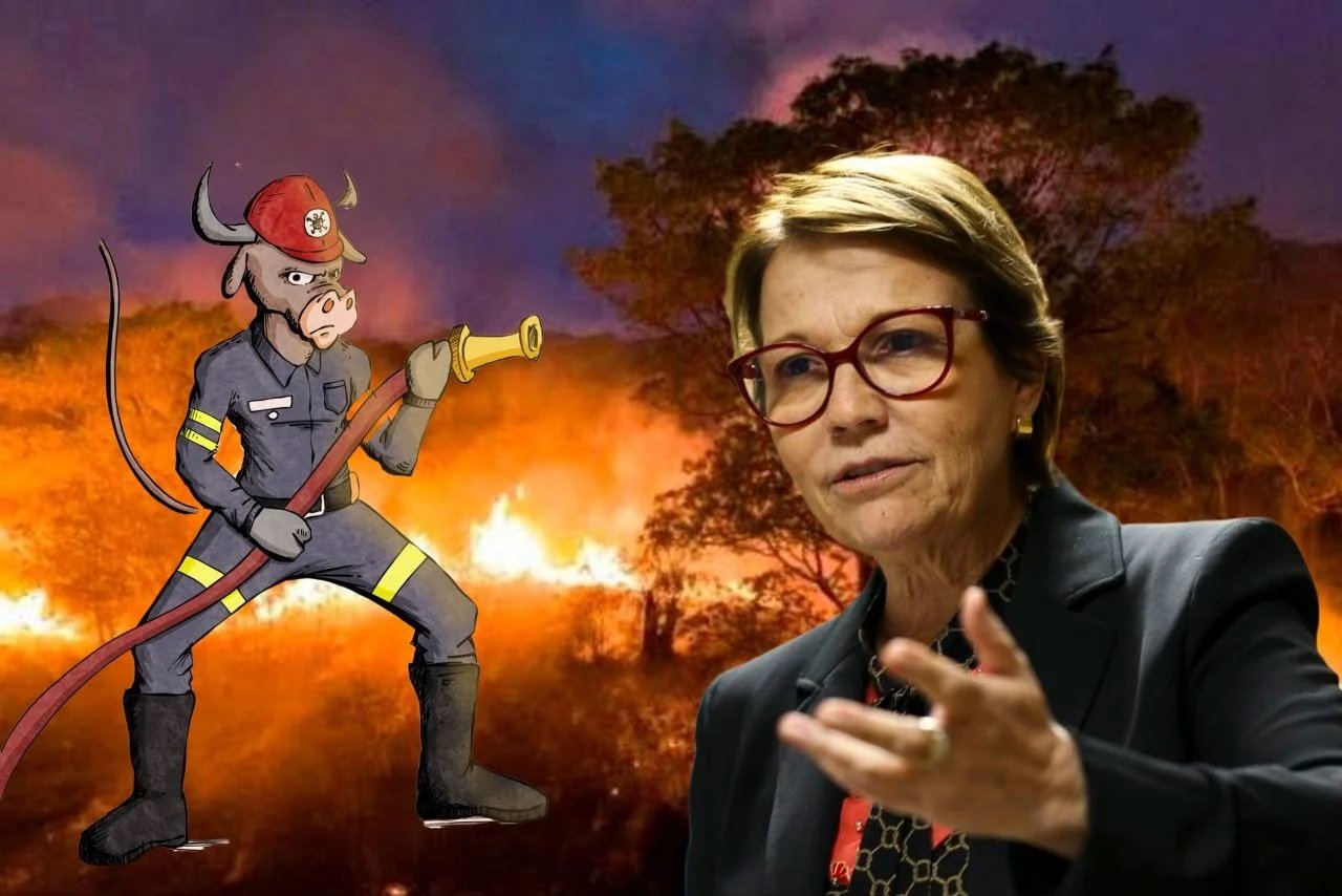 “Boi Bombeiro” da ministra da Agricultura mostra baixaria que é o governo Bolsonaro