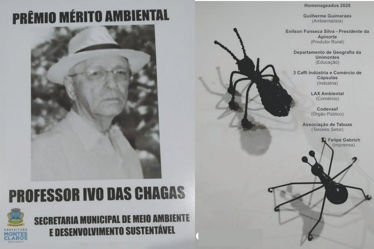 Prêmio Mérito Ambiental Ivo das Chagas 2020 contempla empresas e ambientalistas de destaque