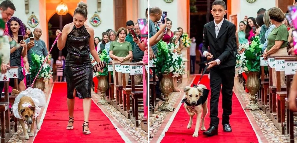 Padre termina cerimônia ao ver cães entrarem com alianças: “O cúmulo”