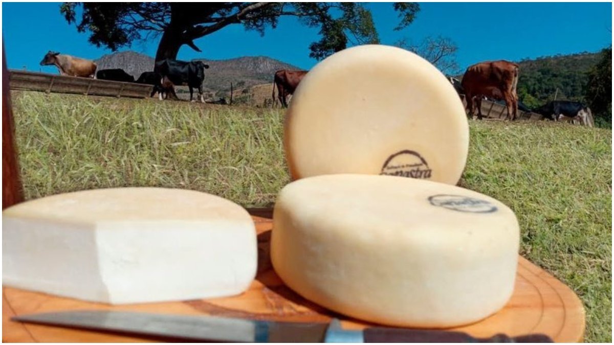 Queijo canastra é eleito o melhor do mundo por site estrangeiro
