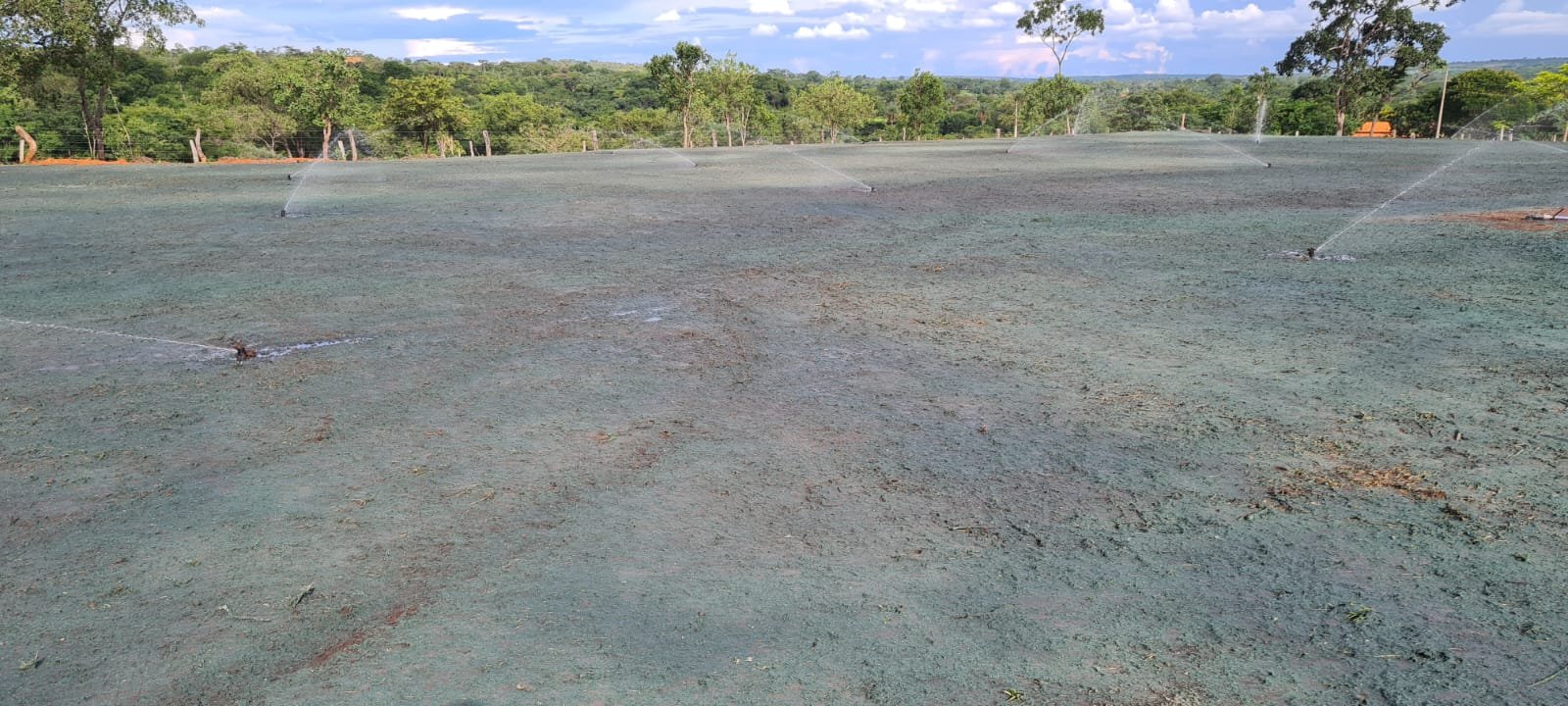 ESPORTE E LAZER – Campo gramado em Riachão – *Por Pedro Ruas Neto