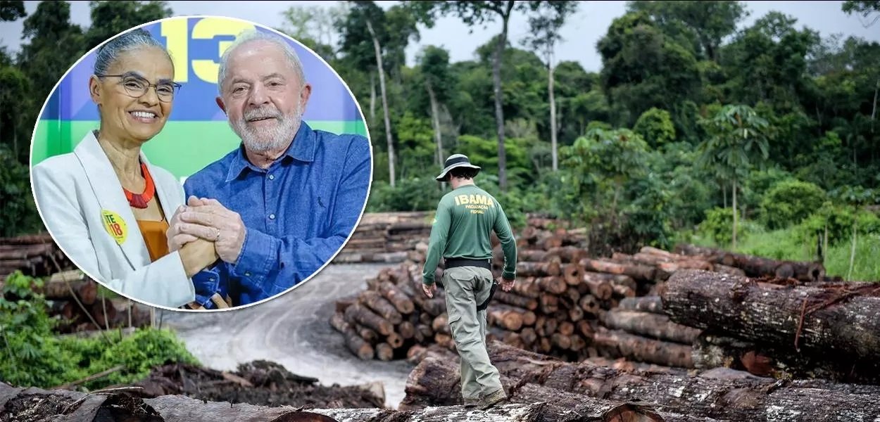 Amazônia Legal: desmatamento cai 61% em janeiro