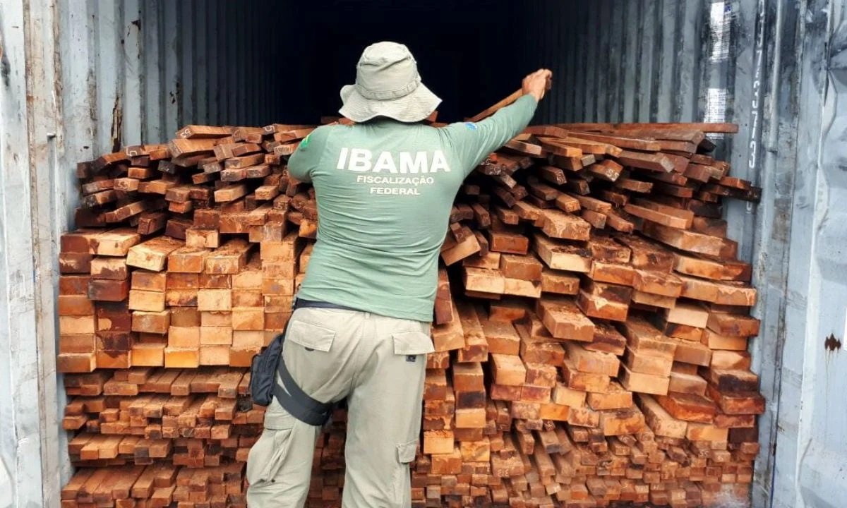 Servidores do Ibama marcam paralisação geral no Dia do Meio Ambiente