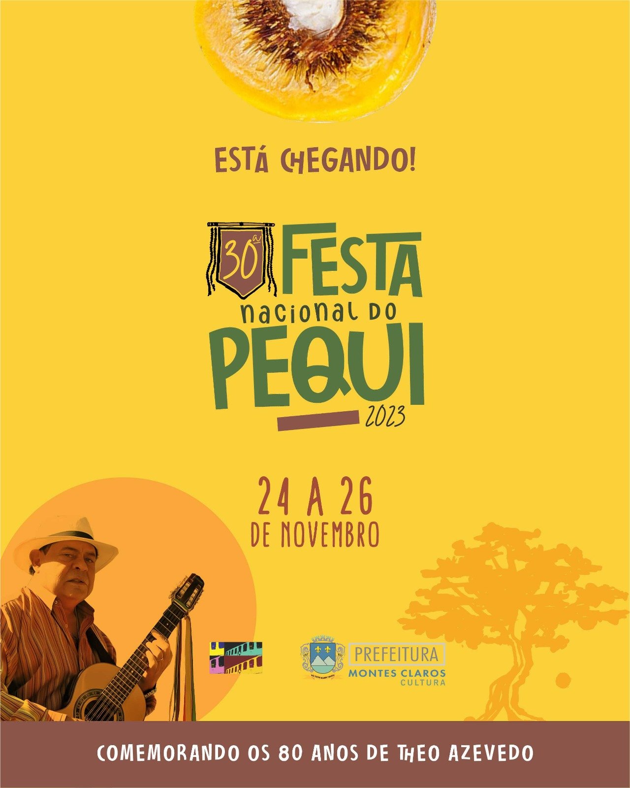 Vai começar a 30ª Festa Nacional do Pequi, em homenagem a Téo Azevedo