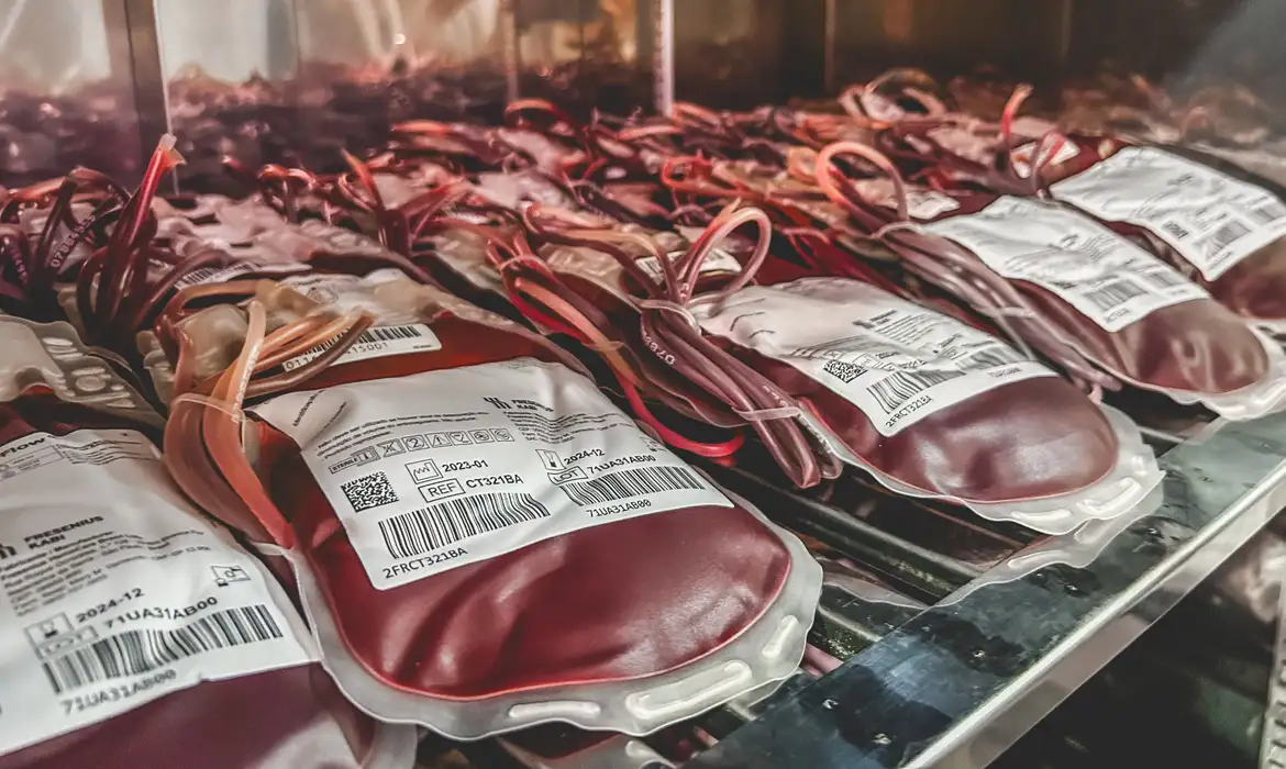 Bolsas de sangue no Hemoap. Transfusão de sangue. Doação de sangue. Foto: Nayana Magalhães/