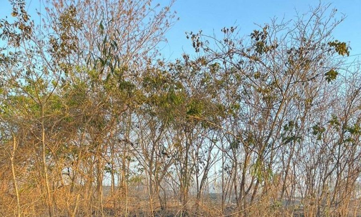 Como forma de intensificar a prevenção, Corpo de Bombeiros mantém equipes de combate a incêndio de prontidão que realizam vistorias a fim de orientar as comunidades no entorno do Parque da Lapa Grande -  (crédito: CBMMG / Divulgação)x