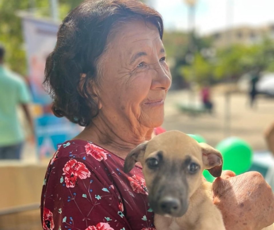 Feira de Adoção reforça importância do bem-estar animal em Montes Claros
