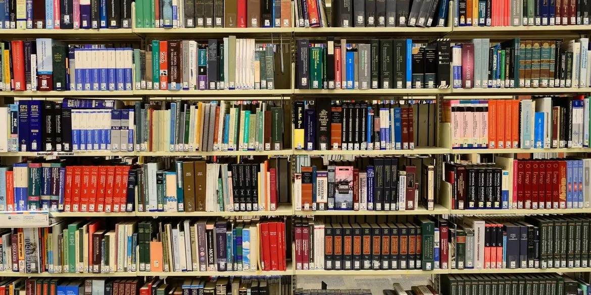 MEC lança biblioteca digital grátis com mais de 8 mil livros